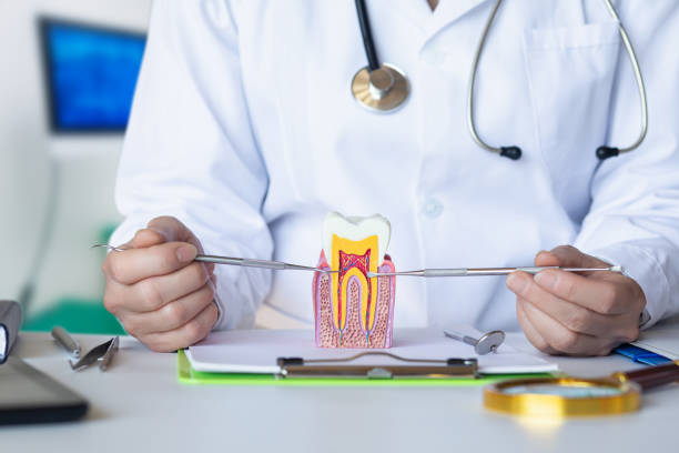 Best Dentist Open Late Near Me  in Bruce, MS